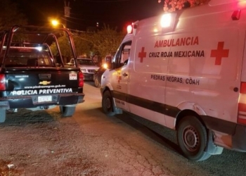 Le dan batazo en la cabeza