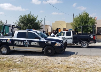 Disminuyen las consignaciones por robo al inicio de año