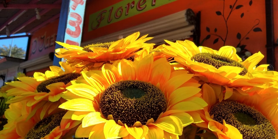 Florerías se mantienen de los funerales