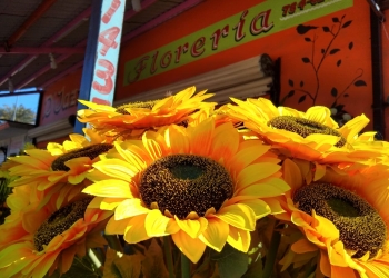 Florerías se mantienen de los funerales