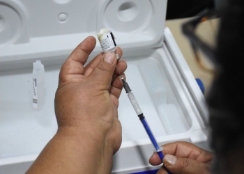 México podría recibir durante febrero hasta 2.75 millones de vacunas a través de Covax