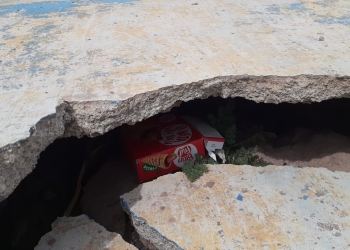Encuentran feto en un panteón