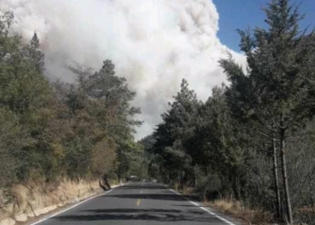 Incendio consume la sierra de Arteaga