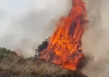 Ahora en San Antonio de las Alazanas