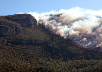 Inician Censo de afectados por incendio en la sierra de Arteaga