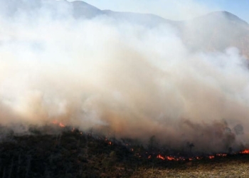 Identifican a causantes de incendio forestal en Arteaga