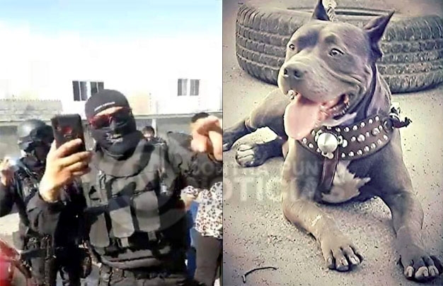 Agente se encuentra suspendido por agredir al animal: Secretaría de Seguridad