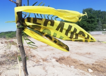 Muerte en el bulevar Colosio