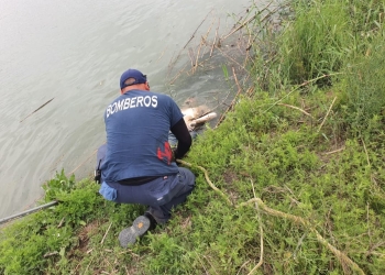 Identifican a un ahogado del Río Bravo
