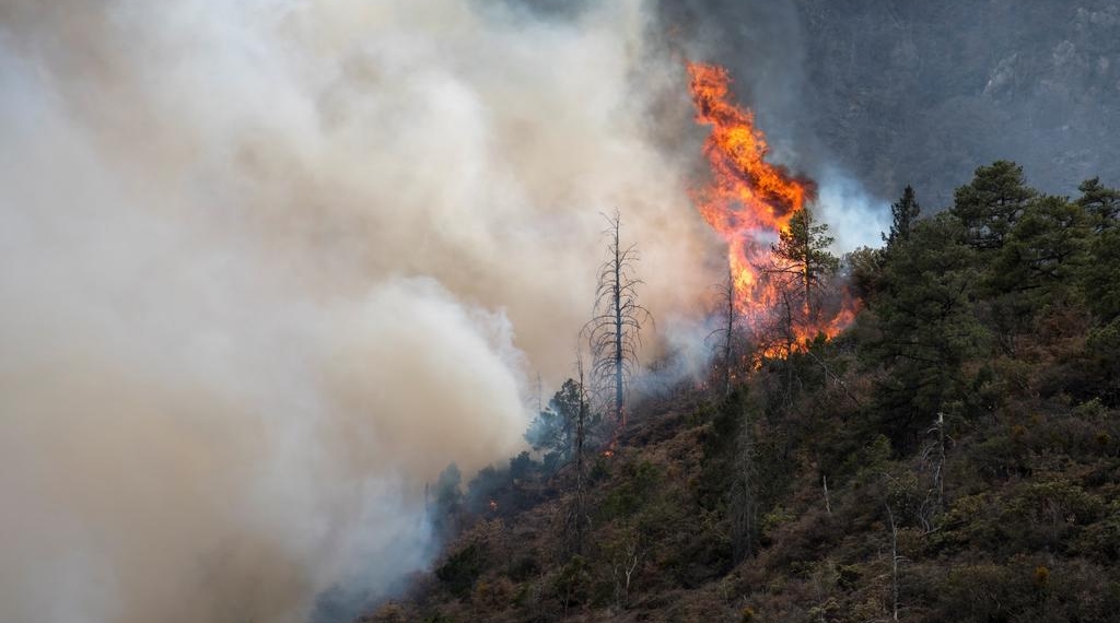 Avanzan incendios en Coahuila y San Luis Potosí a límites con Nuevo León
