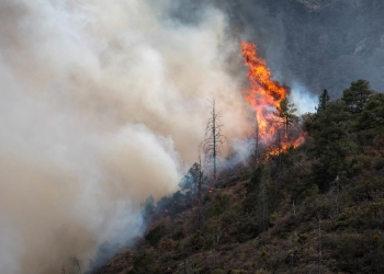 Avanzan incendios en Coahuila y San Luis Potosí a límites con Nuevo León