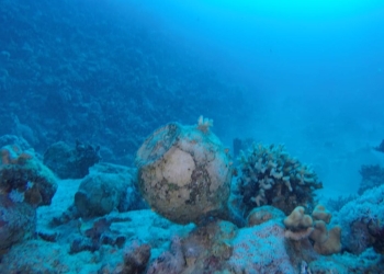 Encuentran en el Mar Rojo restos y mercancías de un barco del siglo XVIII