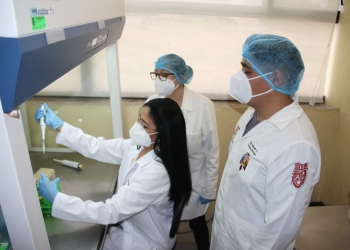 El IPN logra patente para probiótico anticancerígeno del pulque