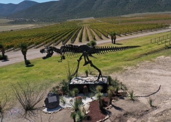 Recibe premiación ruta Vinos & Dinos en Madrid