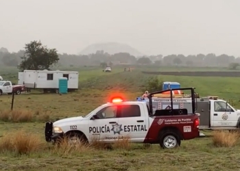 Rescatan a los perros atrapados en el socavón de Puebla