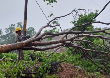 “Dolores” deja 3 muertos y 12 mil usuarios sin luz a su paso por México