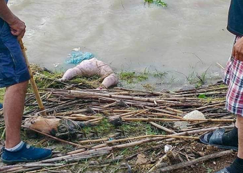 No se puede determinar la causa de la muerte de niña encontrada en el Río Bravo