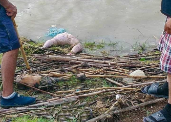 Descartan muerte violenta en niña encontrada mutilada