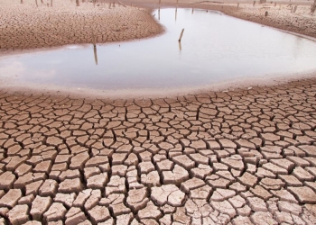 Calor extremo empeora sequía en México