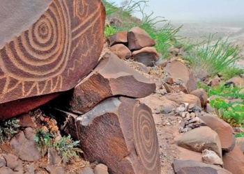 Narigua en el abandono