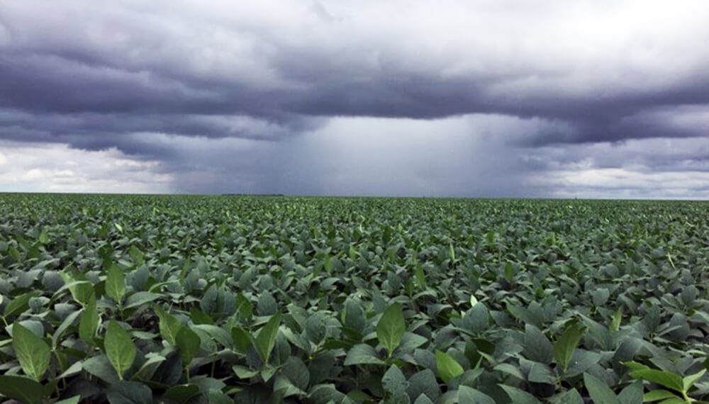 Contra la sequía, Coahuila y Zacatecas se suman al proyecto de ‘bombardeo’ de nubes