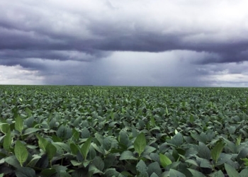 Contra la sequía, Coahuila y Zacatecas se suman al proyecto de ‘bombardeo’ de nubes