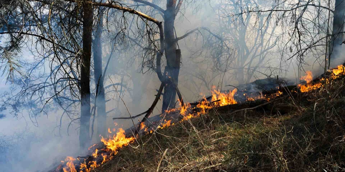 Incendios arden en 10 estados del oeste de EEUU