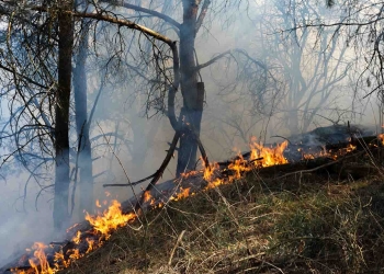 Incendios arden en 10 estados del oeste de EEUU