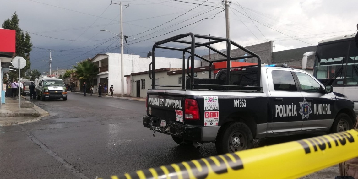 Los perros no la mataron