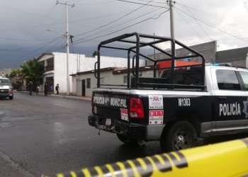 Los perros no la mataron