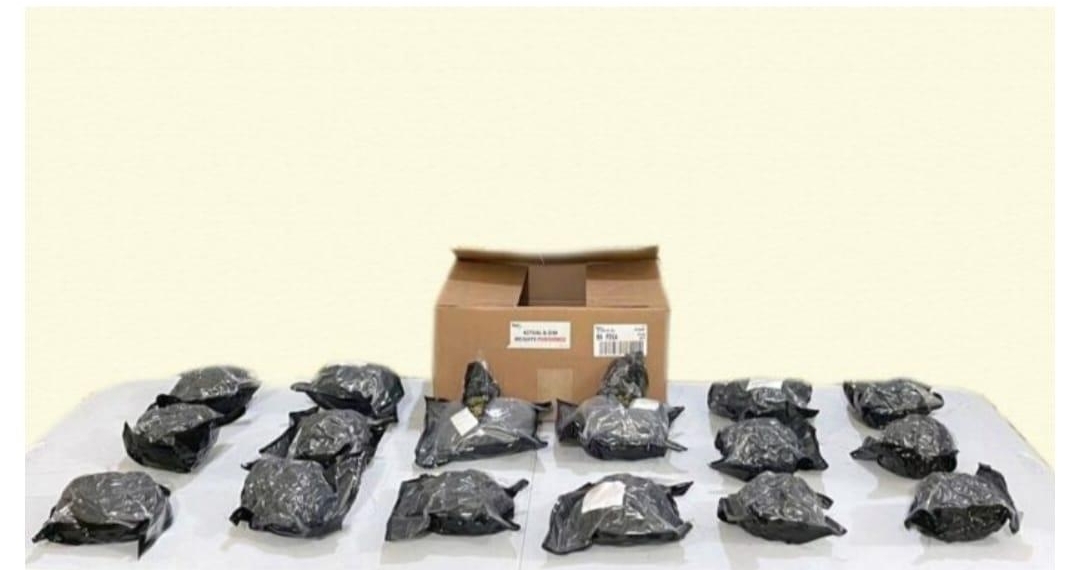 Detectan cuatro kilos de marihuana en camión de paquetería