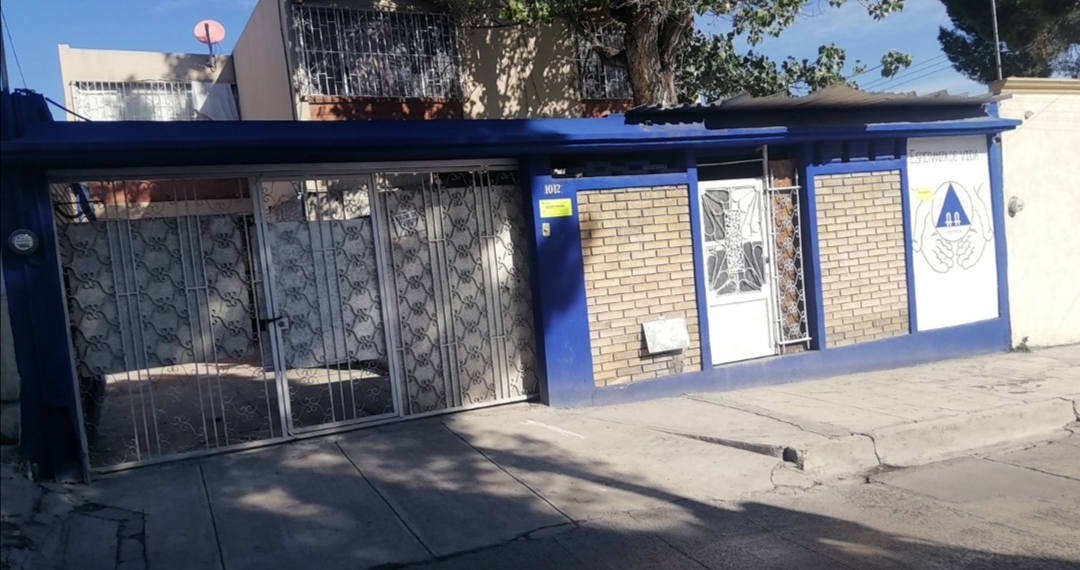 Están libres de maltrato