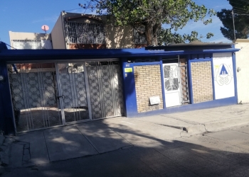 Están libres de maltrato