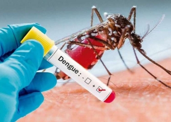 Se registra aumento en casos de Dengue Clásico en Ciudad Acuña