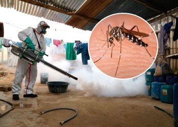 Confirman casos de Dengue Hemorrágico en Ciudad Acuña