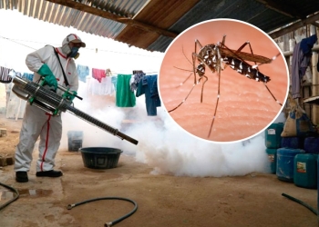 Beneficia clima propagación de zancudos