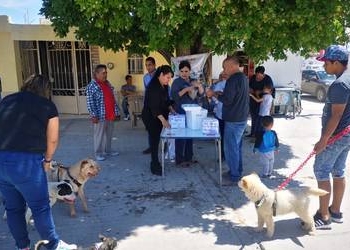 Campaña de vacunación antirrábica para mascotas