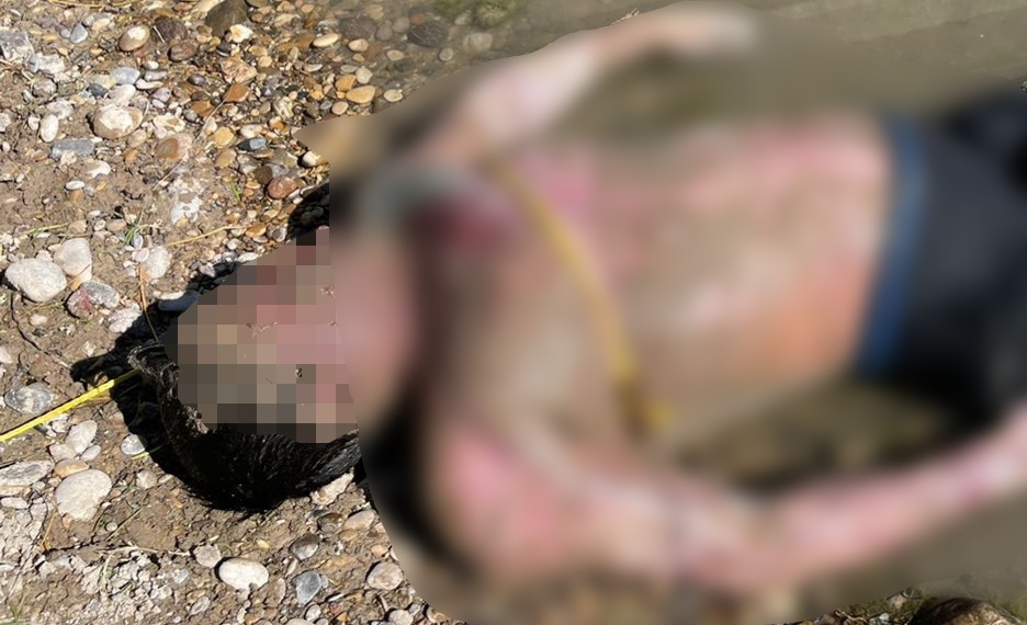 Flota cuerpo en el río bravo a la altura del ejido centinela