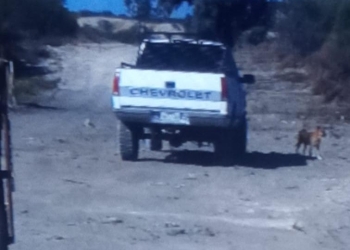 Le roban Pick Up y queda captado en video