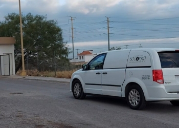 Investigan a mujer que robó carroza