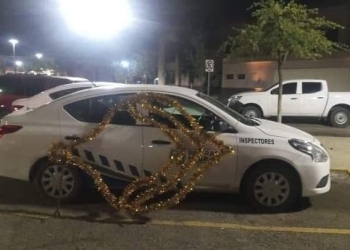 No han denunciado robo de adornos navideños