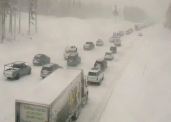 Azotan nevadas y lluvias al oeste de Estados Unidos