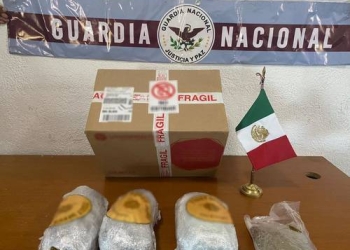 Binomios caninos localizan mariguana en paquetería de Saltillo