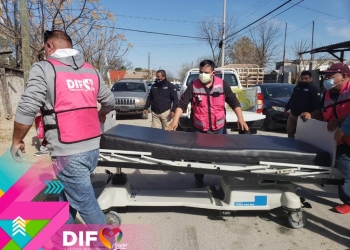 Entrega primera Dama cama de hospital