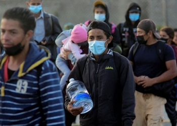 Aseguran hay coordinación para protección a migrantes