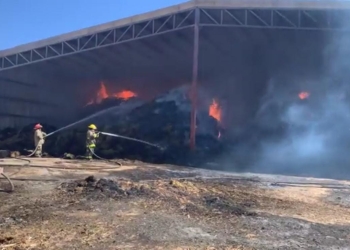 Se queman pacas de alfalfa en la asociación ganadera regional de Coahuila