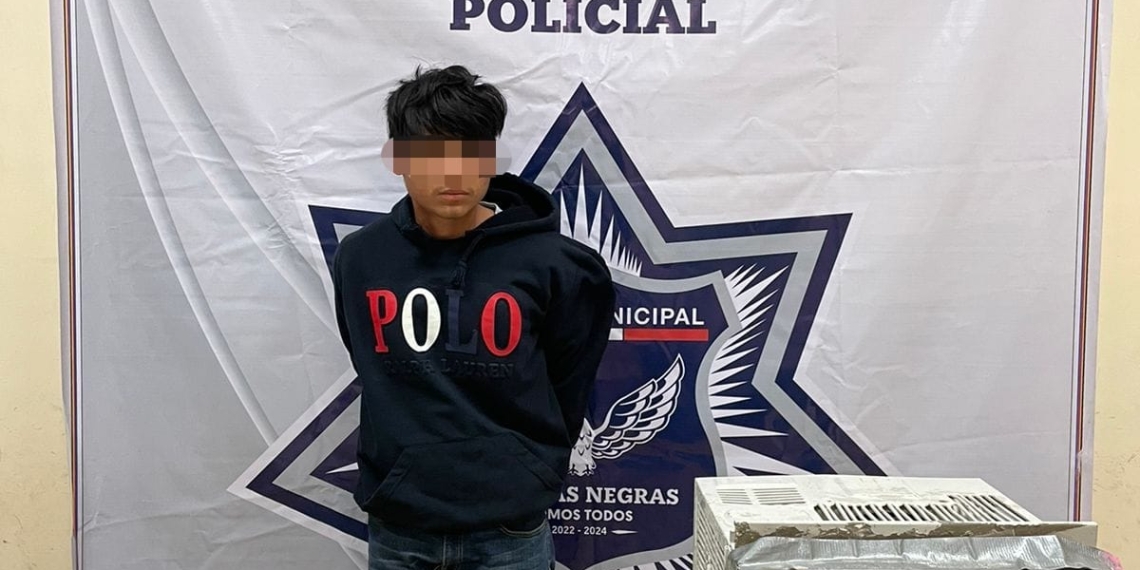 A la cárcel por robar domicilio