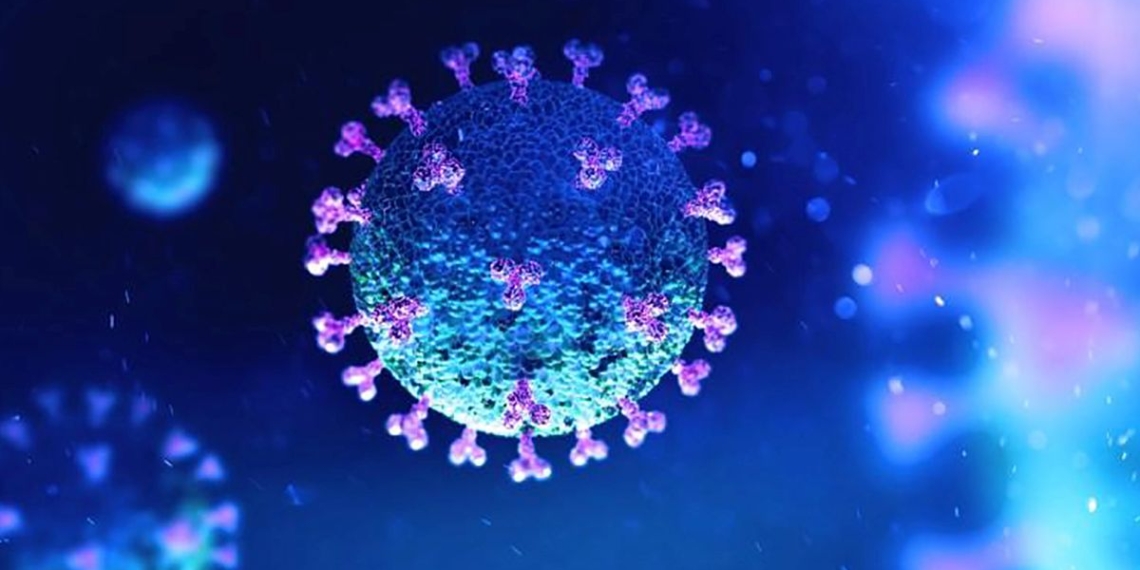 Coronavirus llegó para quedarse