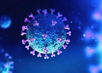 Coronavirus llegó para quedarse