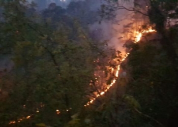 Fuera de control incendio en Santiago